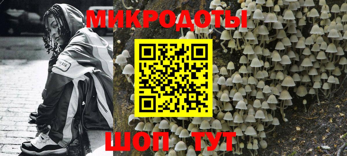 Галлюциногенные грибы Psilocybe  Псилоцибиновые грибы Psilocybe  Нижний Новгород  Вход с VPN 