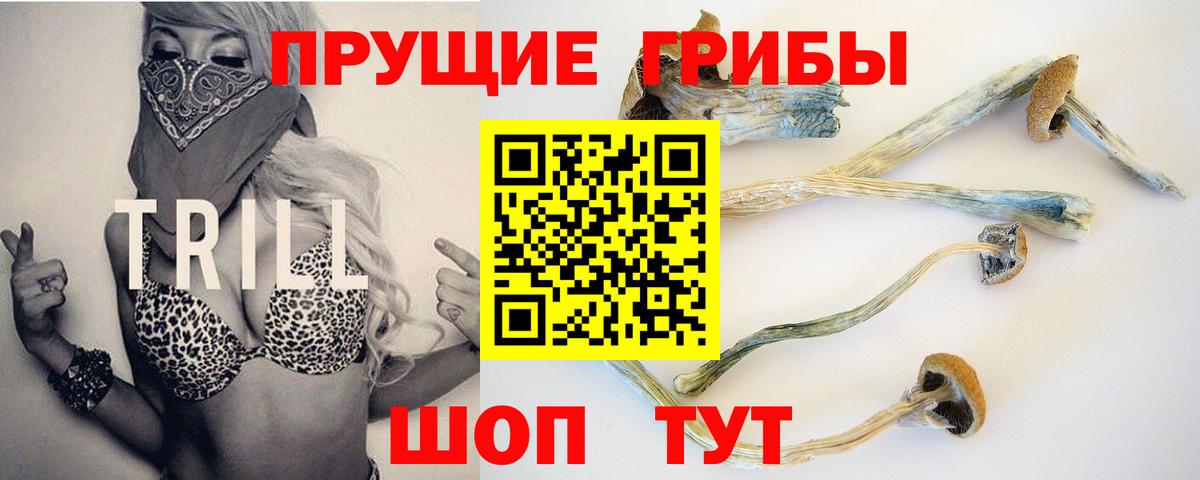 Галлюциногенные грибы мицелий Нижний Новгород